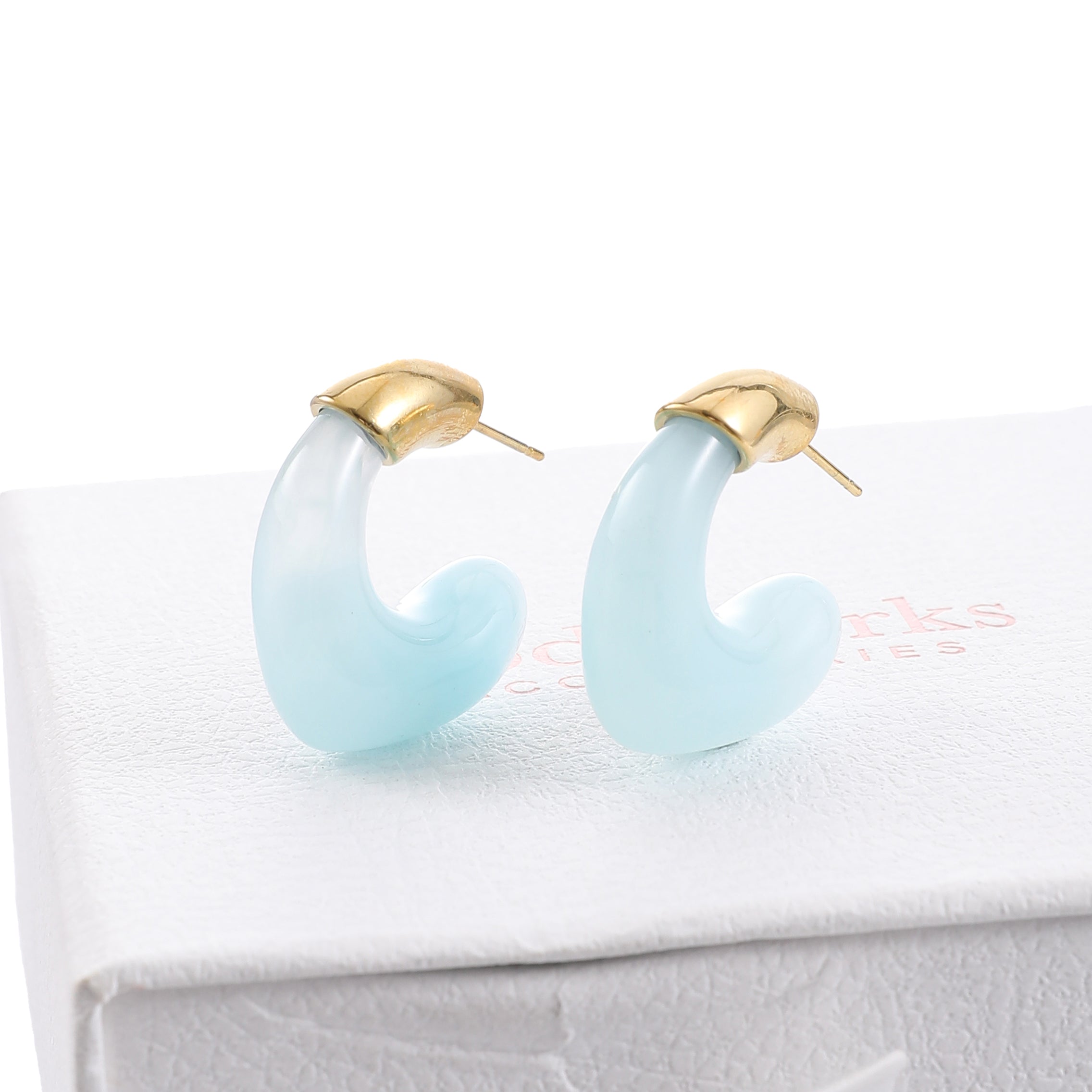 Blue Resin Hoop Earrings